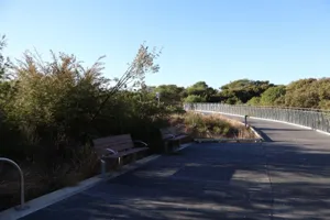 2025-06-21 Bartons Park - IMG_2500_compressed_q50.webp